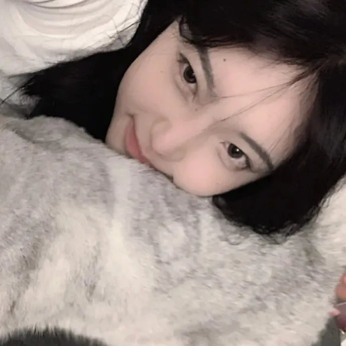 智叻狗仔队